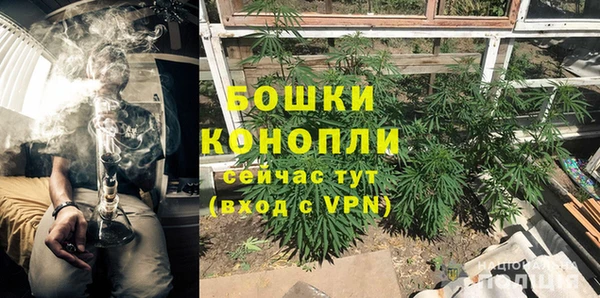 альфа пвп Заводоуковск