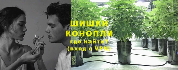 альфа пвп Заводоуковск