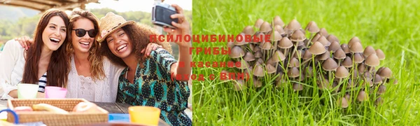 амф Заволжск