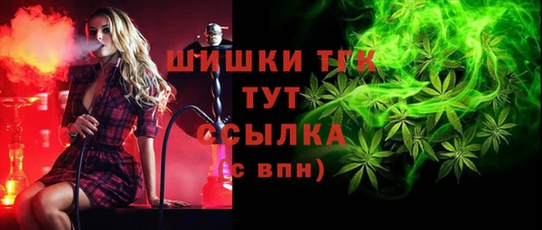 амф Заволжск