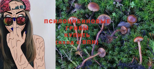амф Заволжск