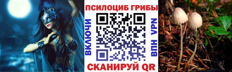 Галлюциногенные грибы Magic Shrooms  купить   Лесозаводск 